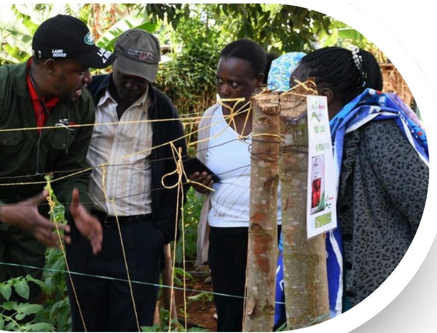 Farmers discussing crops in the field