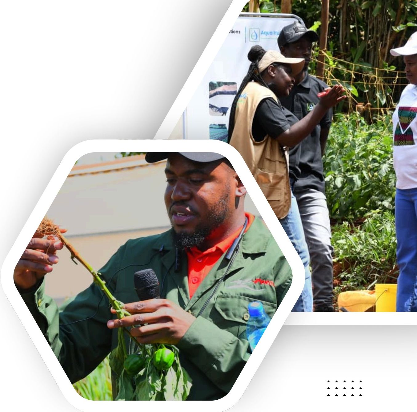 Field demonstrations